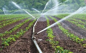 1002-1-1-IRRIGATION-680x380