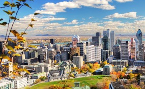 1200x420_Montreal - Sahar Eldeeb-1