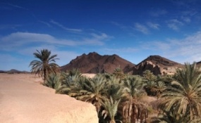 Coca-Cola Water Stewardship 