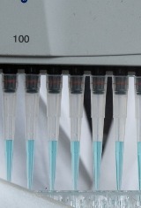 H6
