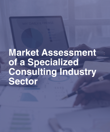 Market Assessment of a Specialized Consulting Industry Sector.