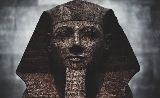 daniel-h-tong-xBeid9r1paU-unsplash-cropped