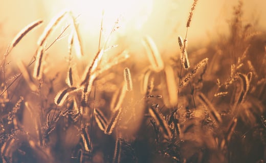 erik-jan-leusink-uQN9KaPTeI4-unsplash-cropped