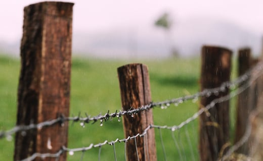 marivi-pazos-0vKqq-_6wto-unsplash-cropped-1