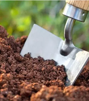 morocco food security 2.png