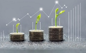shutterstock_583221934-1110x550 (1)