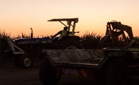 south-africa-farm-photographer-dean-hutton-bloomberg